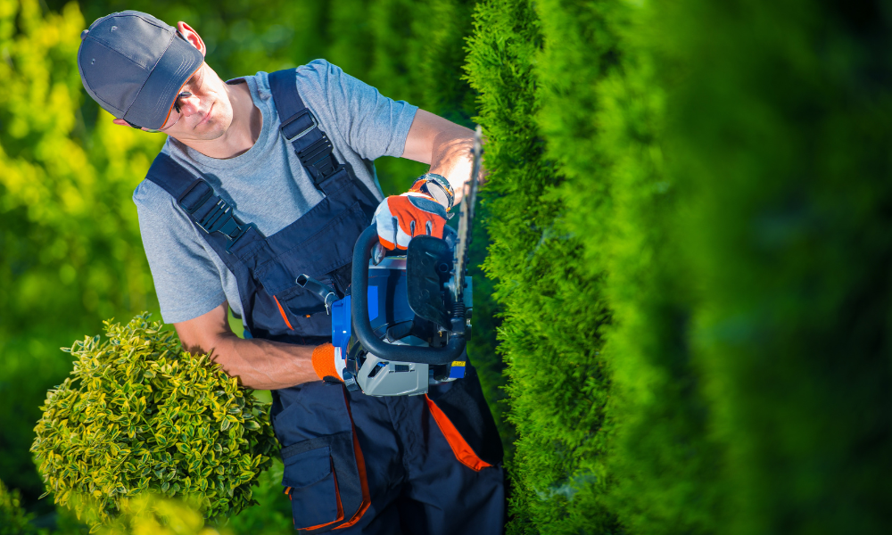 Servicios de jardineria